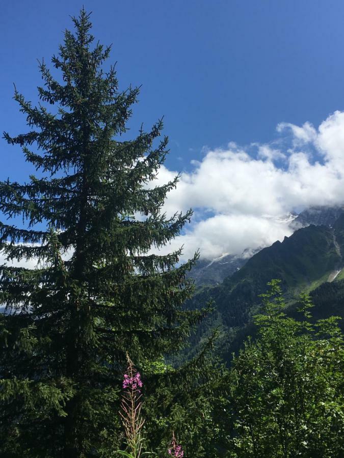 Les Pierres Blanches Mont Blanc Διαμέρισμα Les Contamines-Montjoie Εξωτερικό φωτογραφία